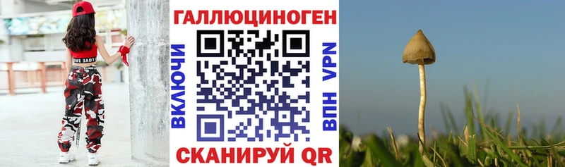 Псилоцибиновые грибы GOLDEN TEACHER  omg ссылка  Усолье-Сибирское 